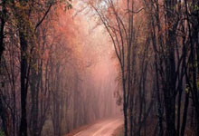 U17男篮世界杯——中国男篮84分击败美国队