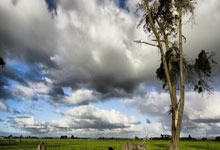 男篮26人集训名单：广东4人 张镇麟、曾凡博入选