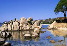 风景变了？澳大利亚NBL和日本联赛球队联系孙铭徽